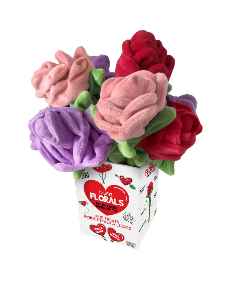 Hide 'N Seek Rose Plush Dog Toy Play FOU FOU BRANDS