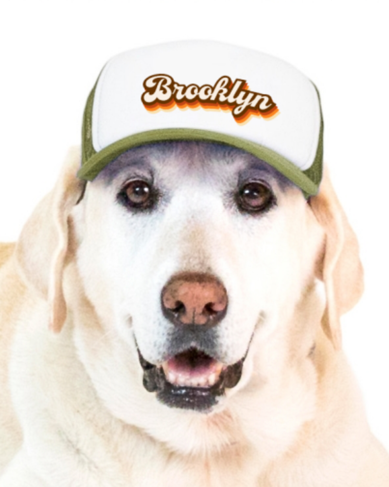 Brooklyn Pet Trucker Hat (DOG & CO. EXCLUSIVE) Wear PUPLID   