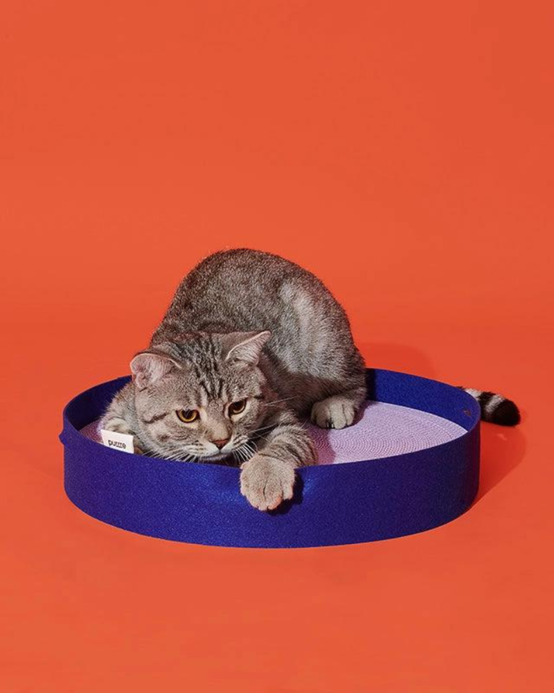 Colorful Round Cat Scratcher Play PURRRE   