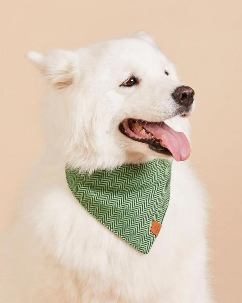 Green Herringbone Flannel Dog Bandana (Made in the USA) Wear THE FOGGY DOG   