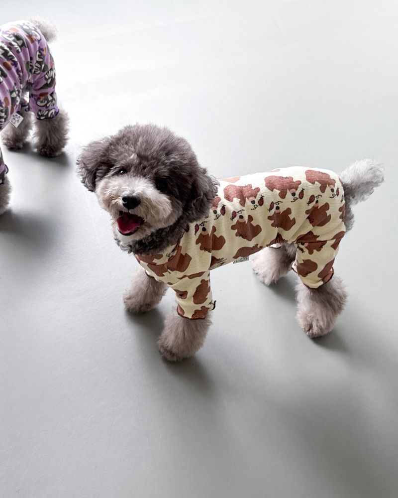 Bear & Ladybug Dog Onesie