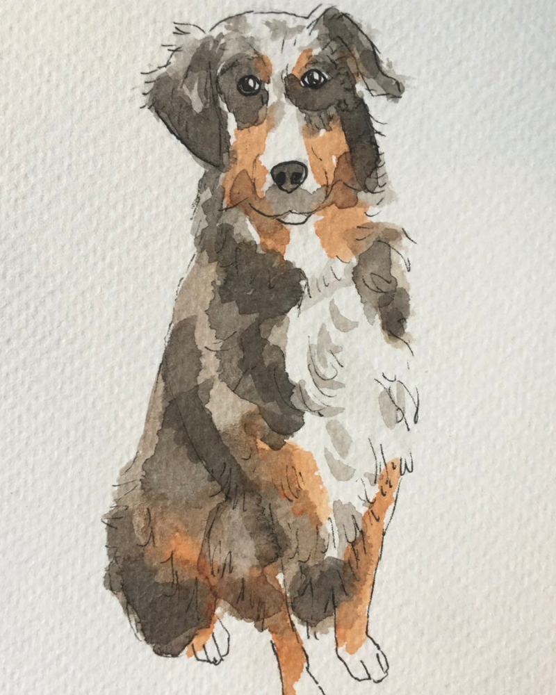 Custom Watercolor Pet Portrait (5x7) HOME Alexandra Schmeling Fine Art   