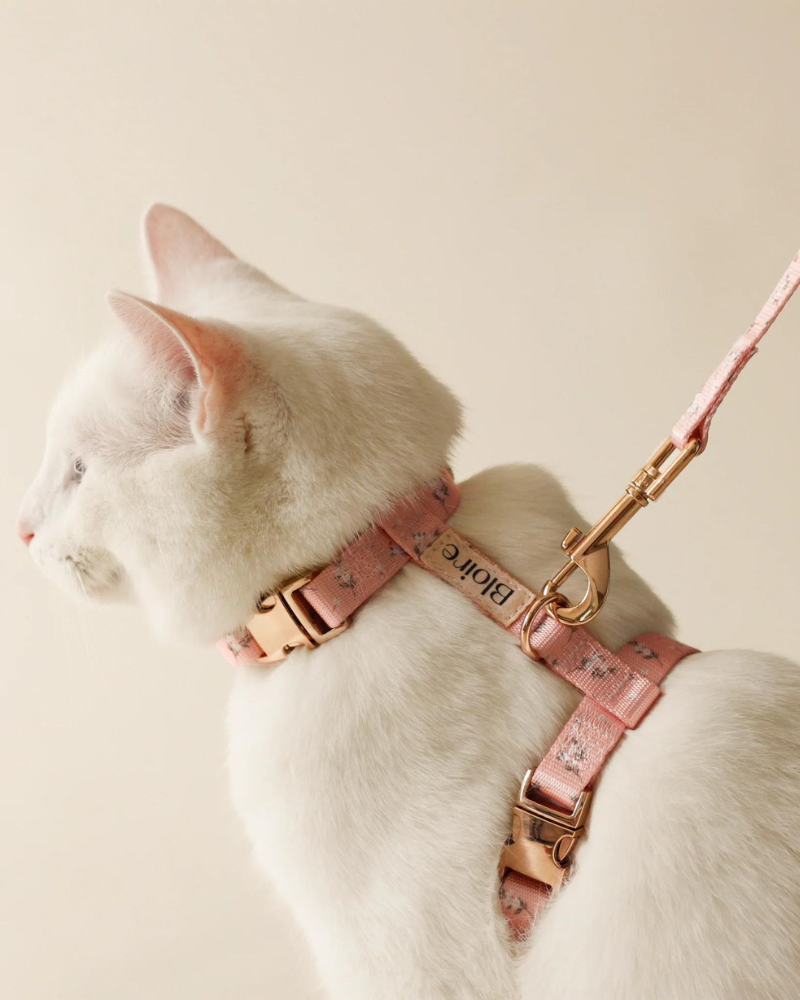 Meadow Matching Cat Harness & Leash Set WALK Bloire   