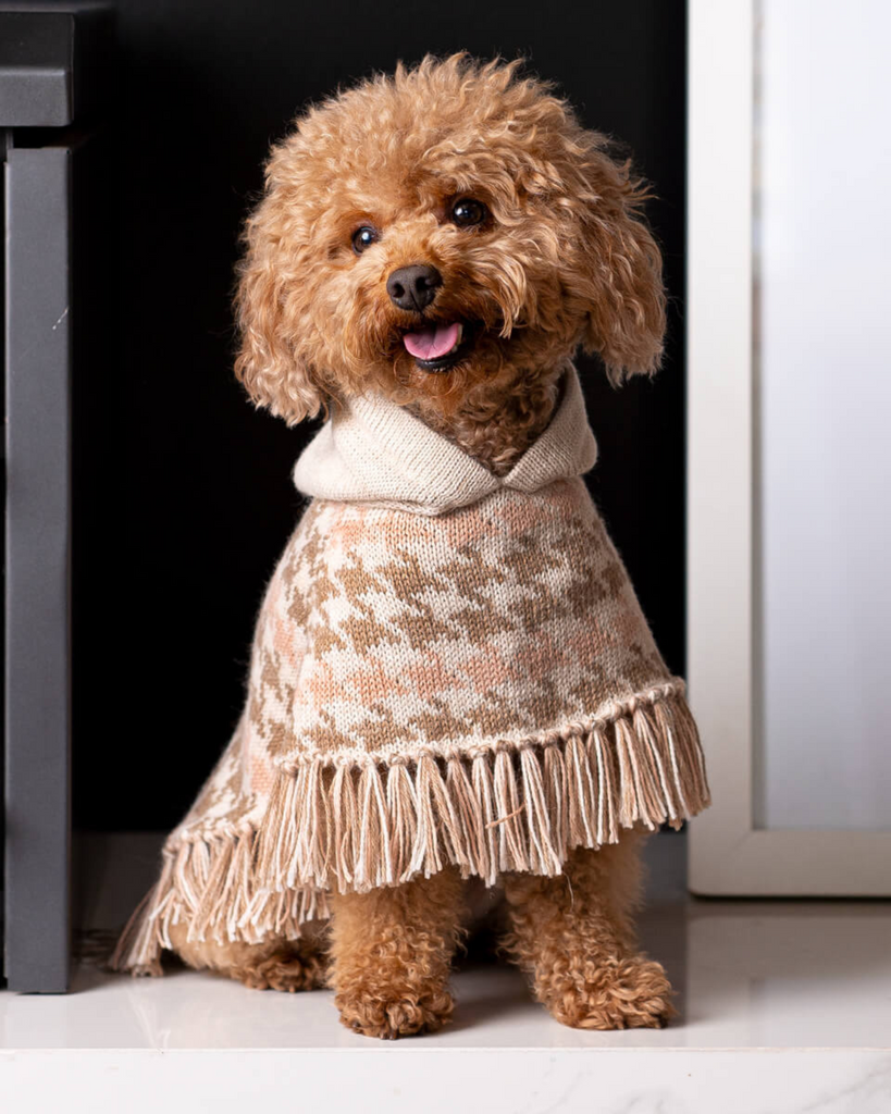 Soft Houndstone Alpaca Dog Poncho wear ALQO WASI