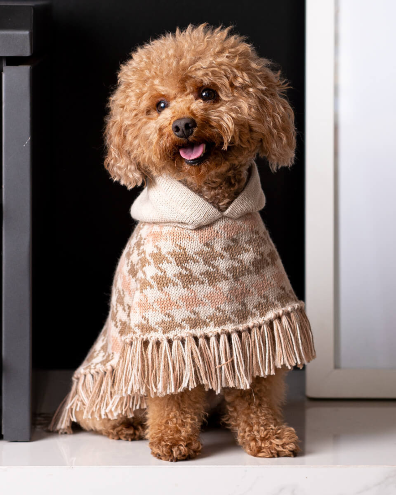 洋楽 Rup Dog It's Okay to Leave a Dog in a Hot Car - Car in a Hot Dog 7