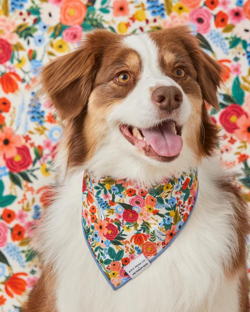 Rifle Paper Co. X Tfd Garden Party Dog Bandana (Made in the USA) (FINAL SALE) Wear THE FOGGY DOG   