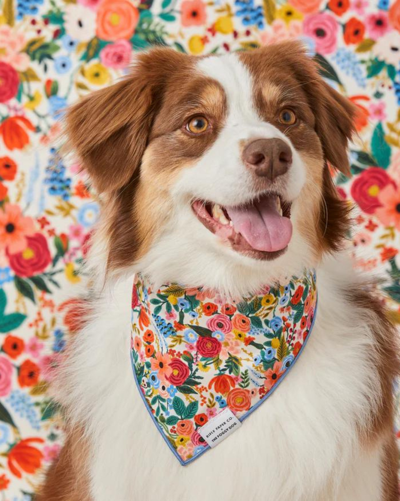 Rifle Paper Co. X Tfd Garden Party Spring Dog Bandana (Made in the USA) Wear THE FOGGY DOG   