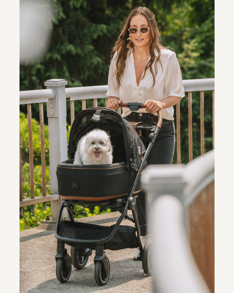 Maeve™ + Roscoe™ 3-in-1 Pet Stroller & Car Seat HOME TAVO PET   