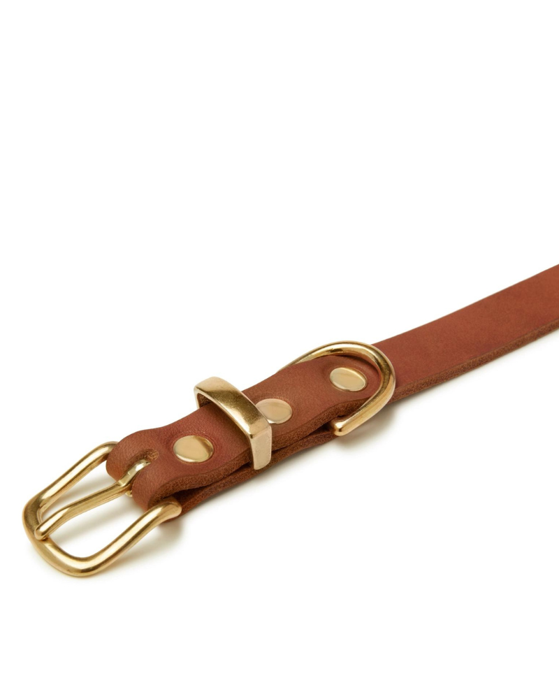 Butter Leather Dog Collar in Sahara Cognac (Made in Austria) WALK MOLLY & STITCH   