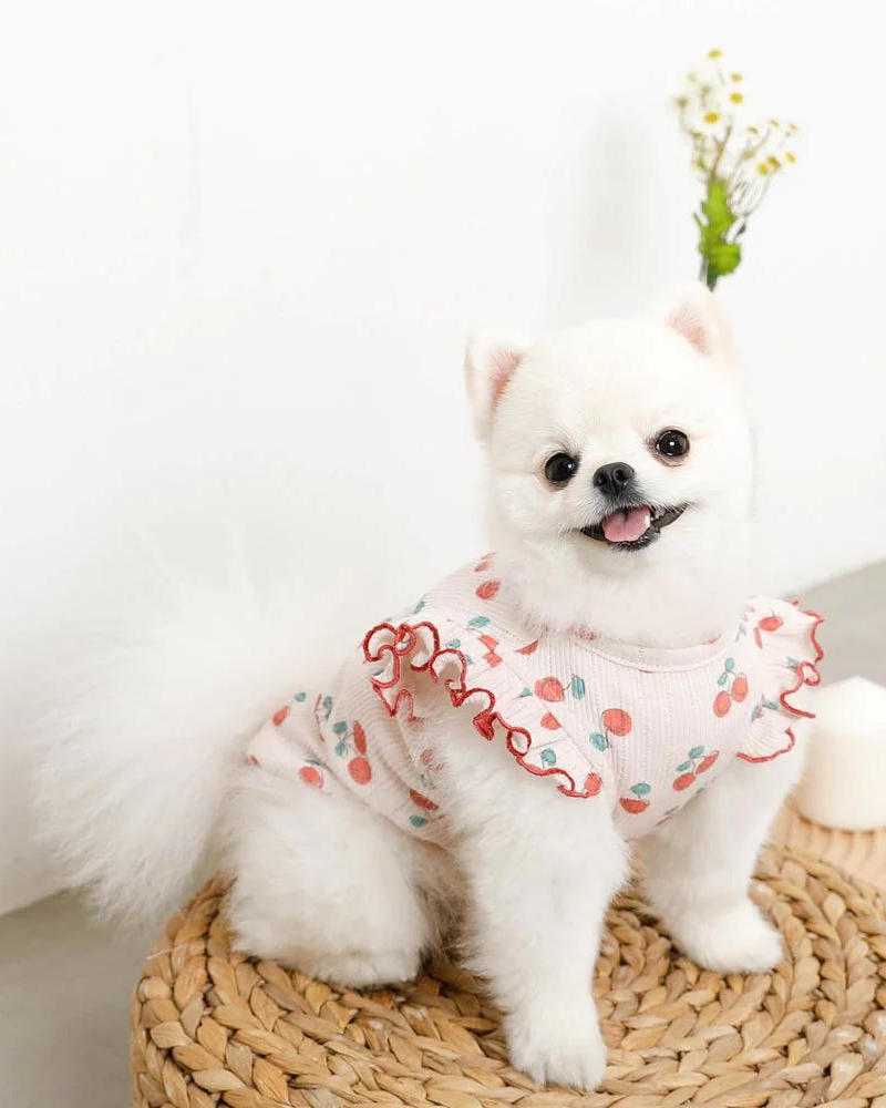 Cool Cherry Shoulder Frill Dog Shirt (FINAL SALE) Wear MONCHERI   