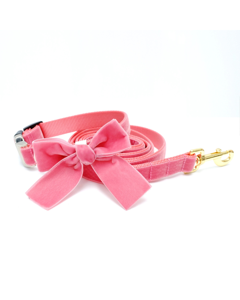 Velvet Dog Bow Collar & Leash Set in Primrose Pink WALK MIMI GREEN