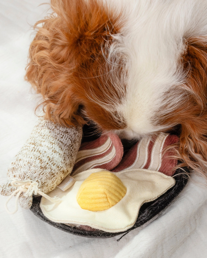 Breakfast Dog Toy Set Play LAMBWOLF COLLECTIVE