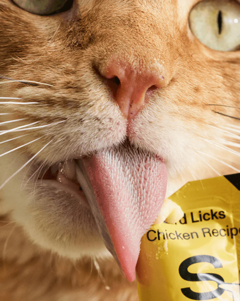 Lickable Pouch Cat Treat (8-Pack)
