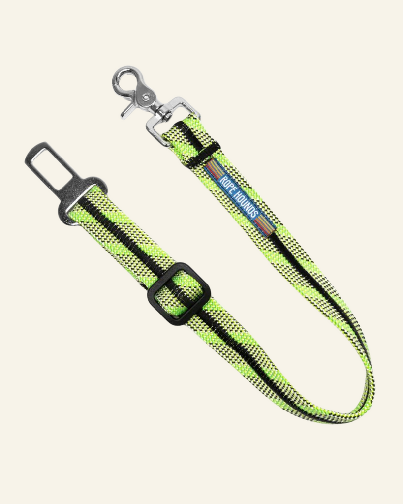 Dog Seat Belt (Made in the USA) Carry ROPE HOUNDS Tequila Lime  