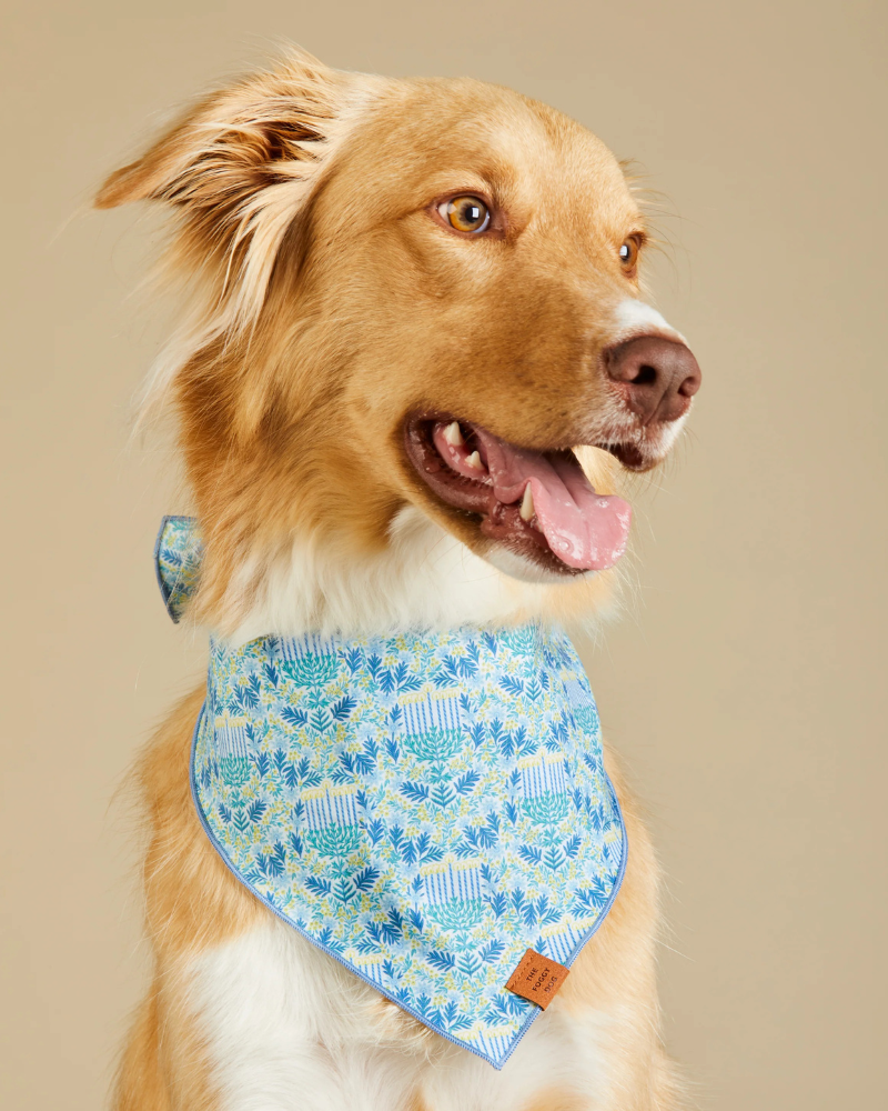 Flora Menorah Hanukkah Bandana for Dogs Wear THE FOGGY DOG
