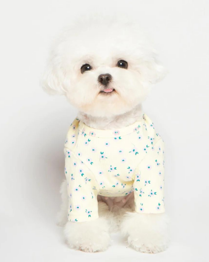 Forget-Me-Not Cozy Dog Shirt in Yellow (FINAL SALE) Wear MIMINKO   