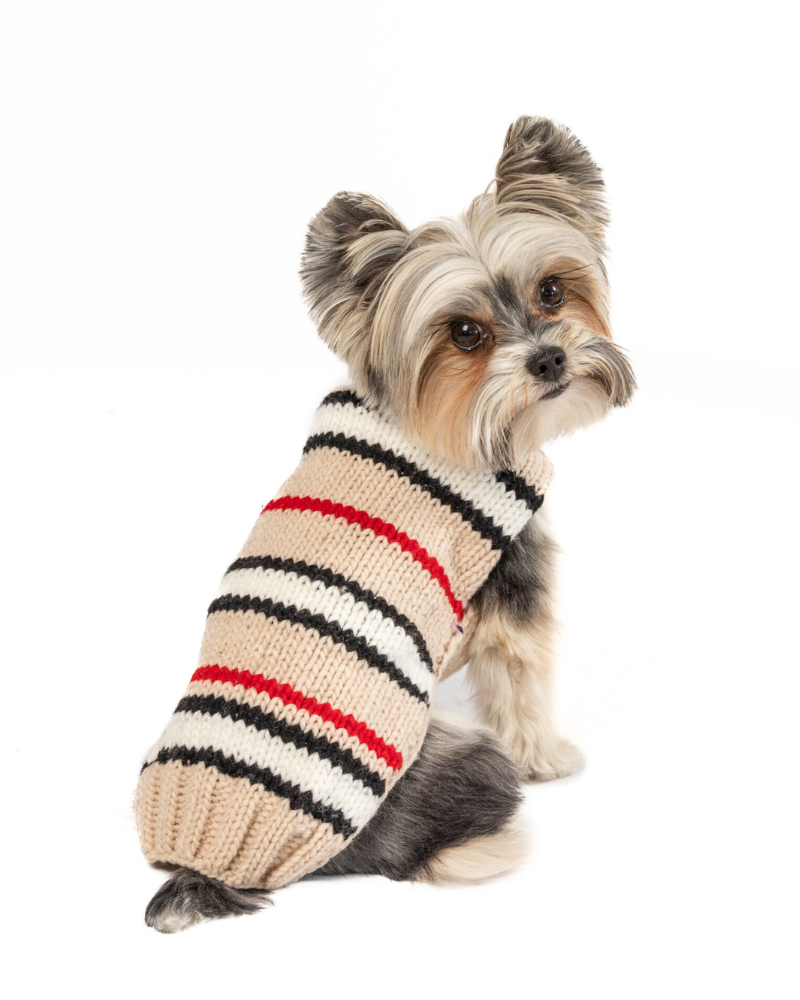 Bentley Alpaca Stripe Wool Dog Sweater Wear CHILLY DOG   