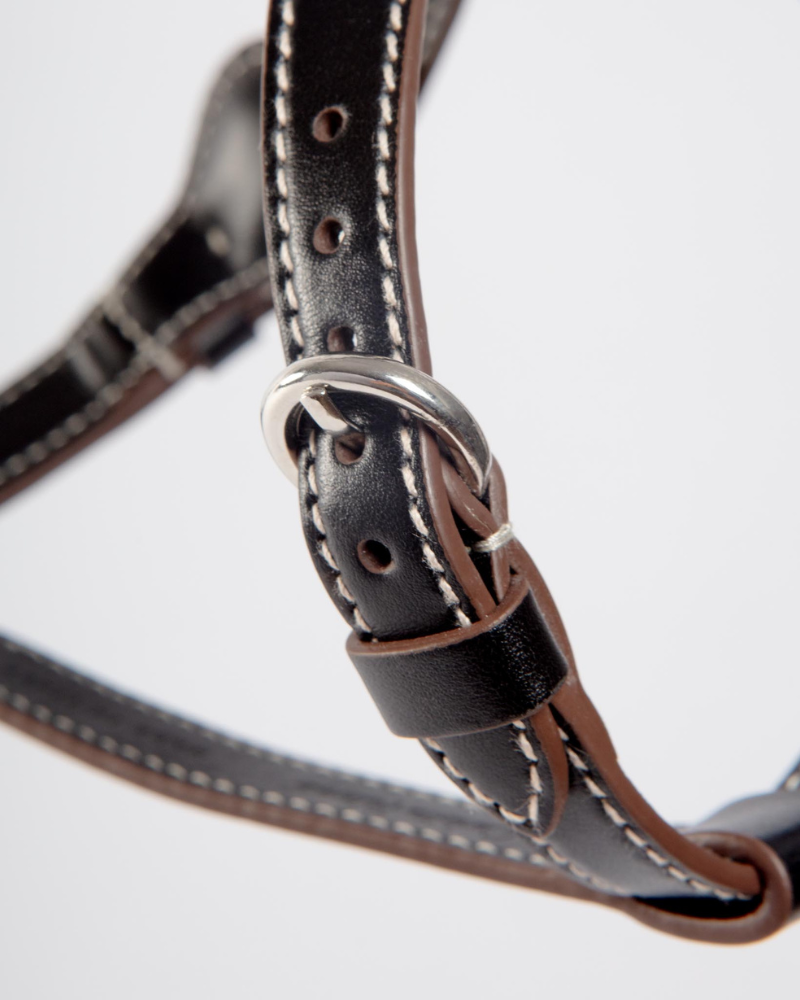 Nuvola Leather Dog Harness in Black (Made in Italy) Walk CARLOTTA PALERMO