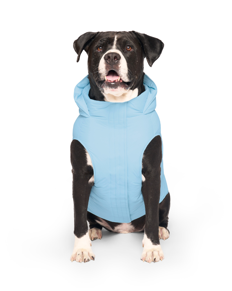 Insulated Waterproof Dog Puffer (FINAL SALE) Wear CANADA POOCH   