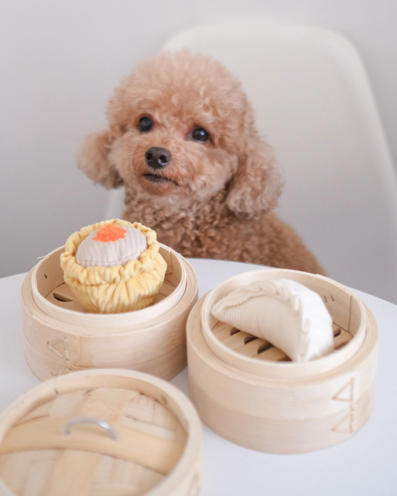 LAMBWOLF COLLECTIVE | Dim Sum Pop Enrichment Dog Toy | DOG & CO.