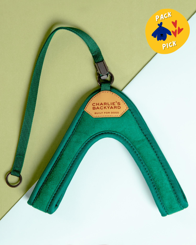 Adjustable Easy Dog Harness in Green WALK CHARLIE'S BACKYARD   