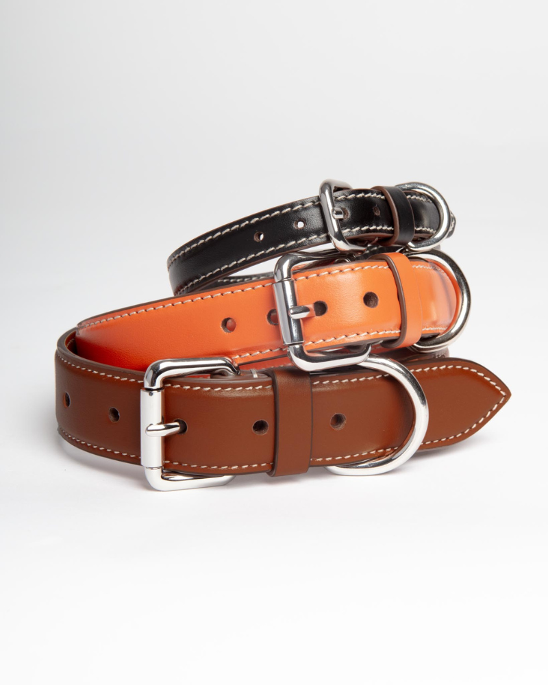 Leather Dog Collar in Orange (Made in Italy) Walk CARLOTTA PALERMO