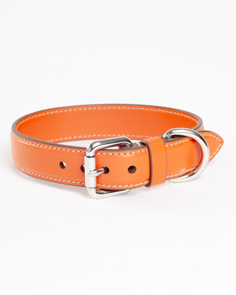 Leather Dog Collar in Orange (Made in Italy) Walk CARLOTTA PALERMO