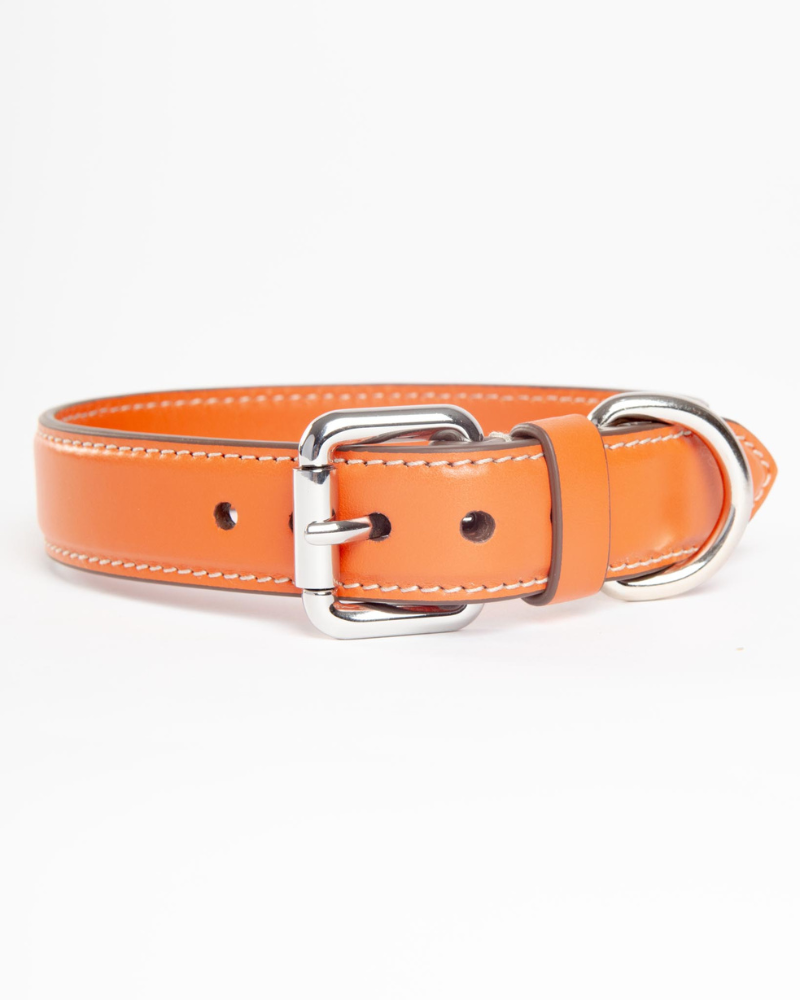 Leather Dog Collar in Orange (Made in Italy) Walk CARLOTTA PALERMO