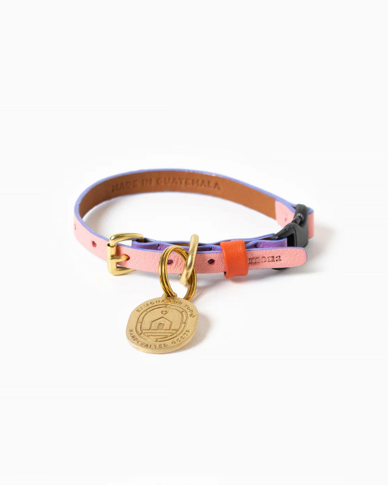 Sweet Leather Cat Collar (Made in Guatemala) WALK RAMONA FOR YOU   