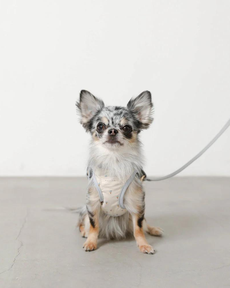 Padded Ice Cream Cone Dog Harness + Lead Set (FINAL SALE) WALK MONCHERI   