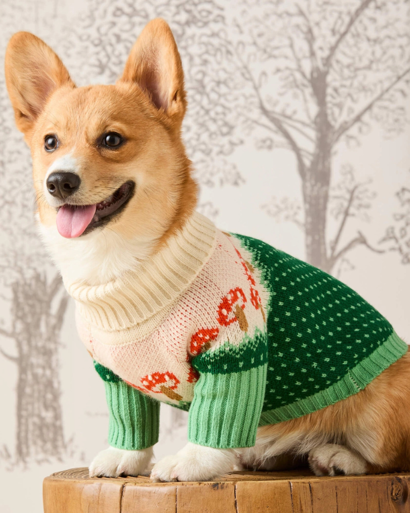 Mushroom Toadstool Knit Dog Sweater Wear THE FOGGY DOG