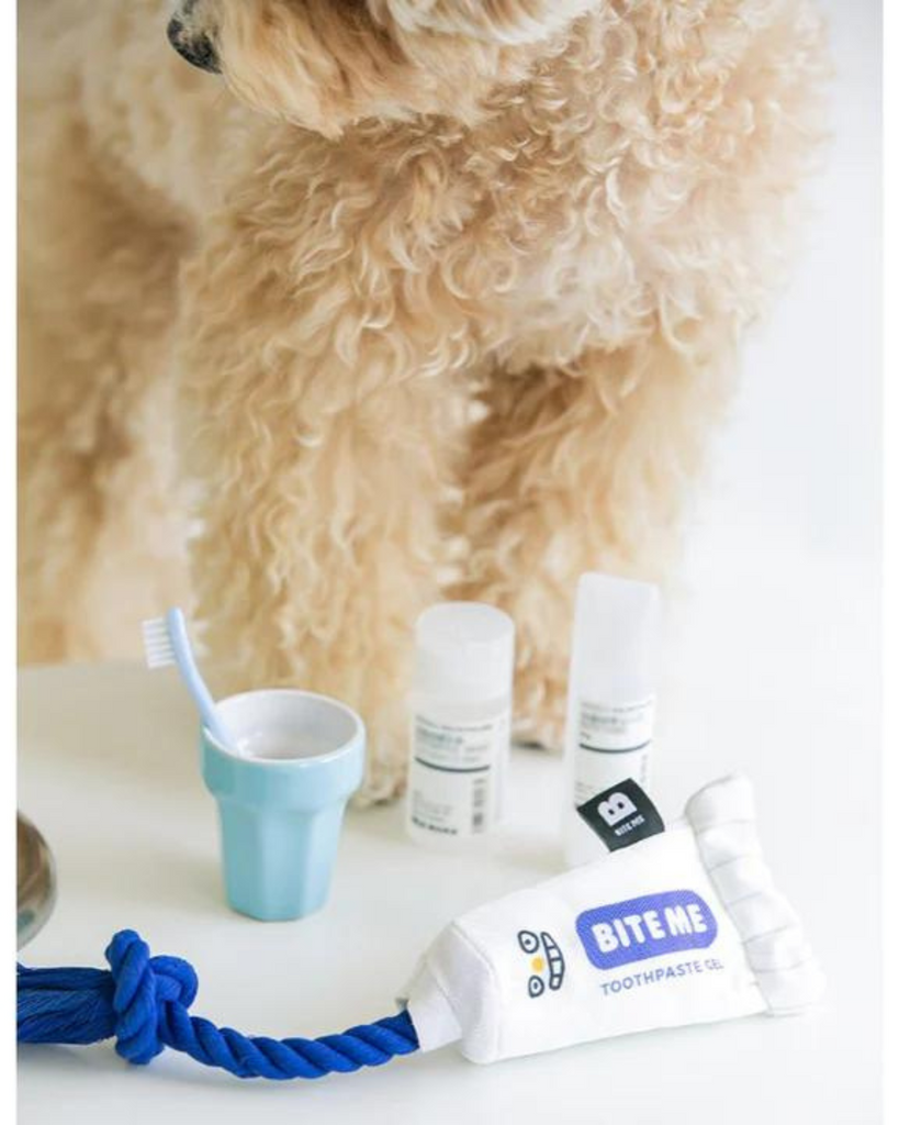 Toothpaste Gel Dog Toy | DOG & CO.