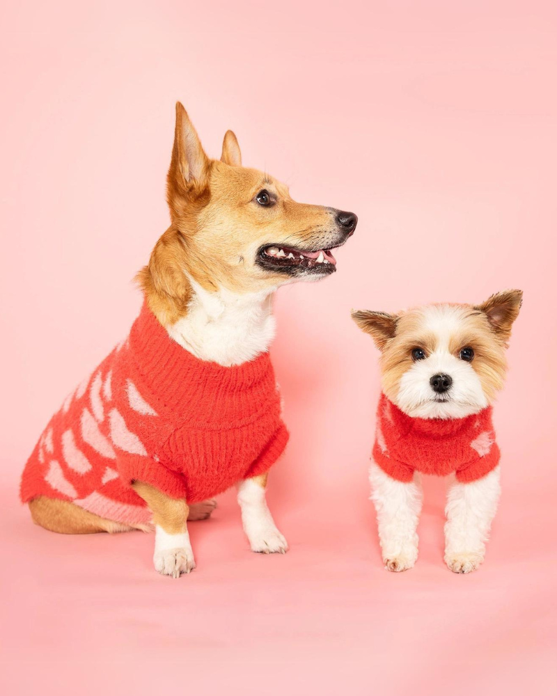 Hug Me Heart Dog Sweater (FINAL SALE) Wear THE FURRYFOLKS   