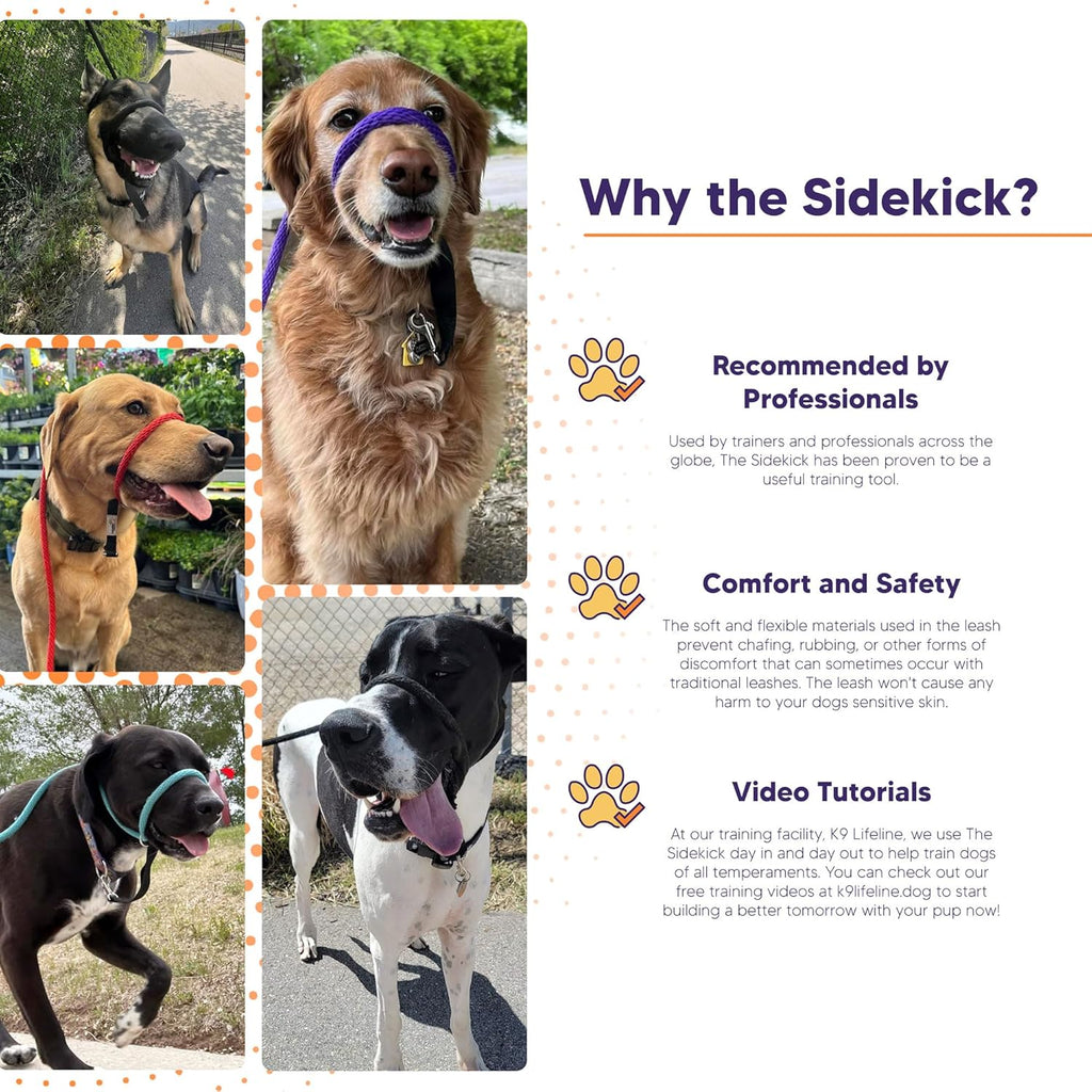 Sidekick Transitional No-Pull Leash Walk HEATHER'S HEROES