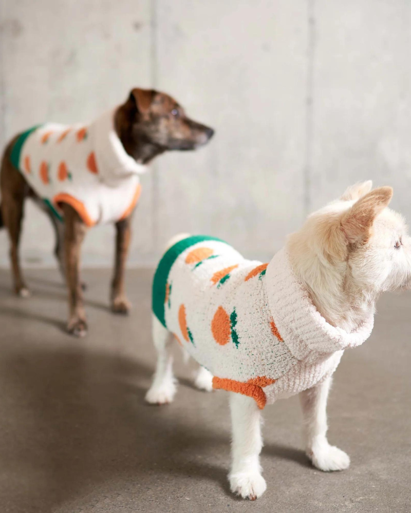 Orange Dog Sweater Wear THE FURRYFOLKS   