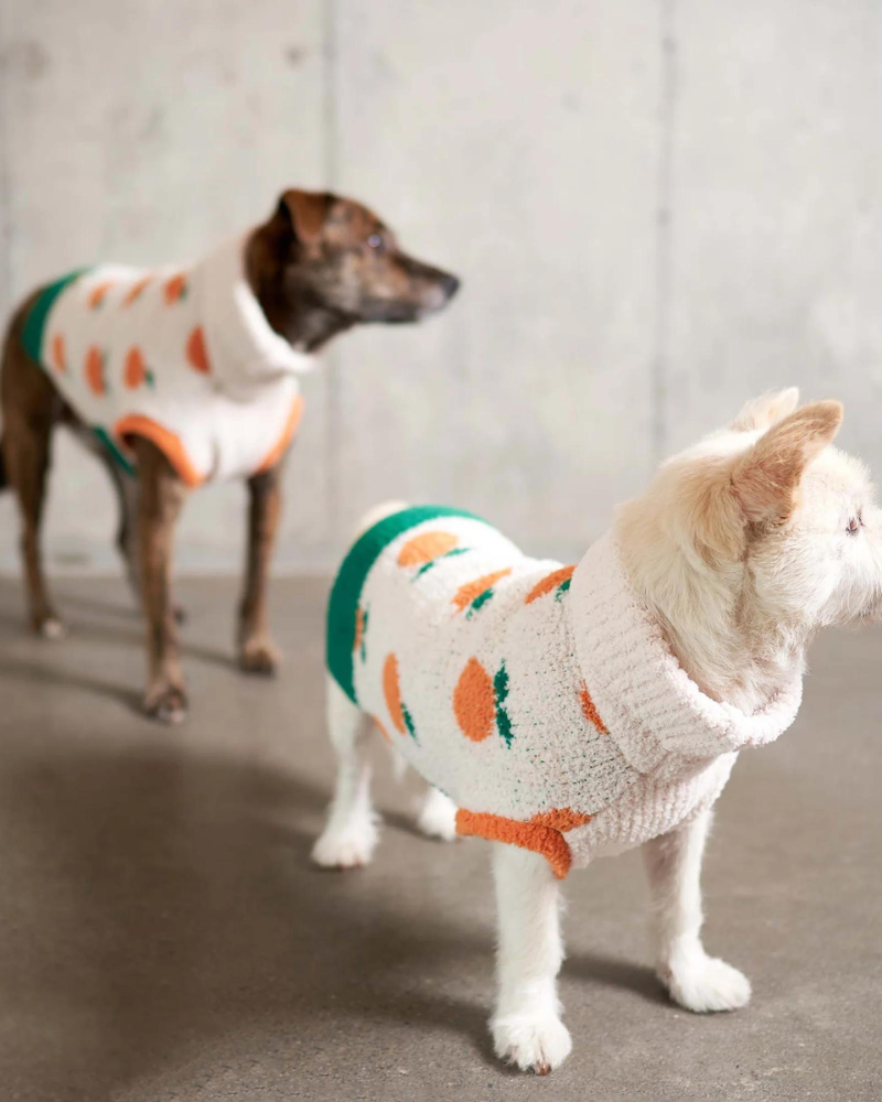 THE FURRYFOLKS | Hug Me Heart Dog Sweater