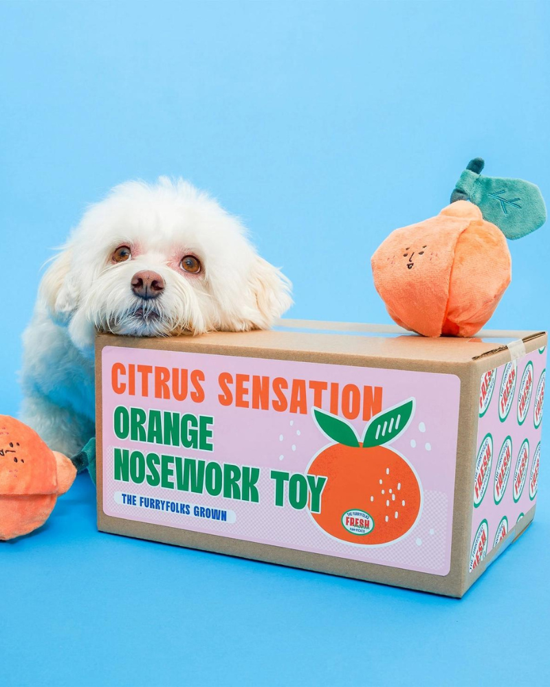 Orange Nosework Dog Toy Play THE FURRY FOLKS   