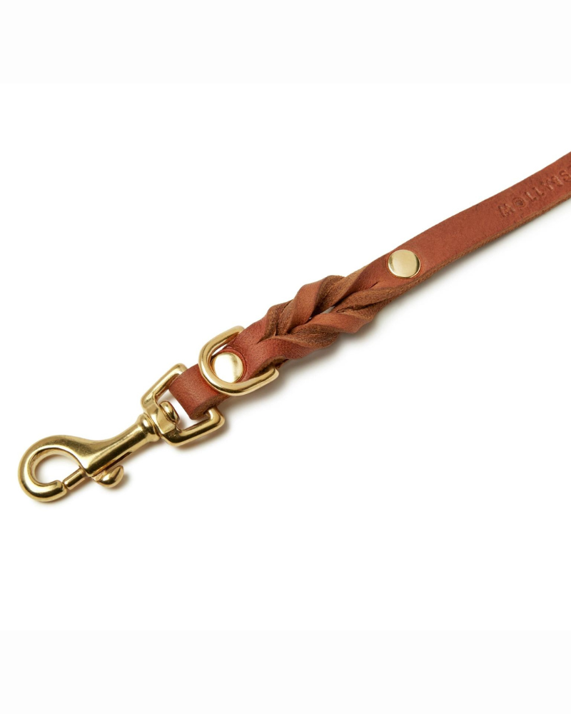Butter Leather Dog Leash in Sahara Cognac (Made in Austria) WALK MOLLY & STITCH   