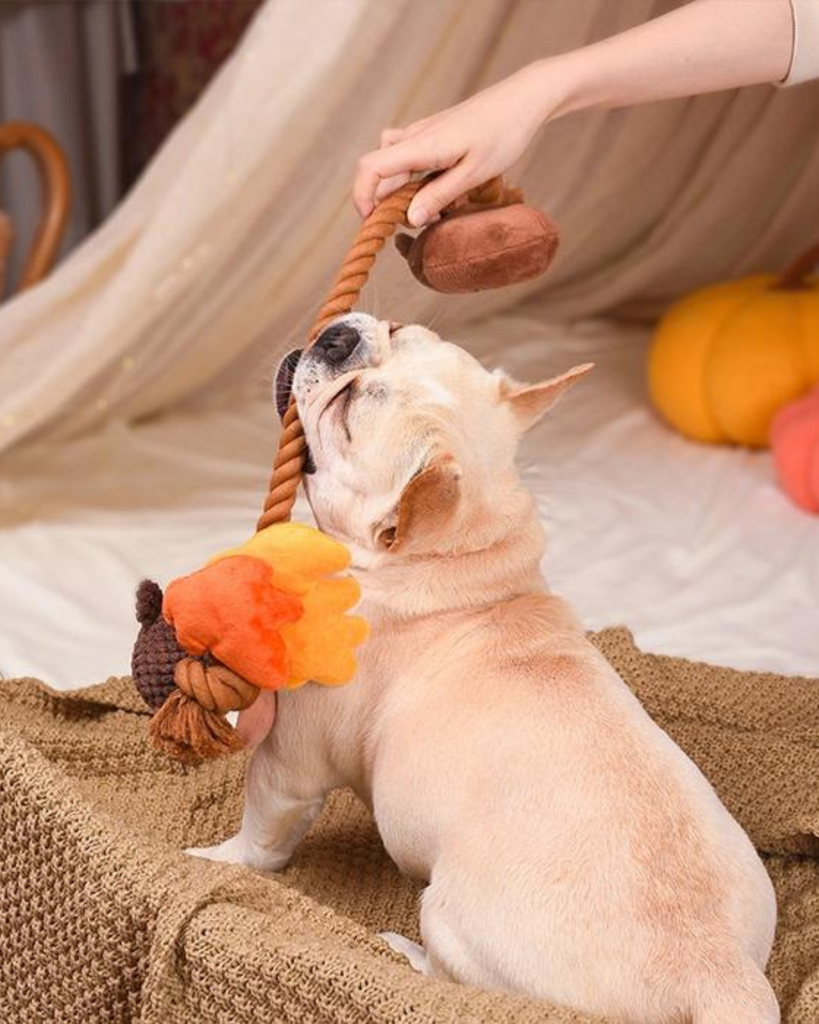Autumn Acorn Squeaky Dog Toy Play HUGSMART   