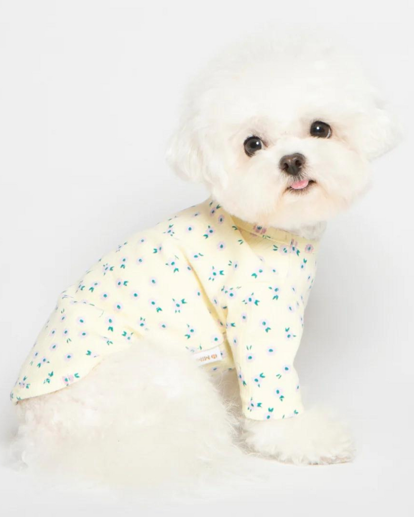 Forget-Me-Not Cozy Dog Shirt in Yellow (FINAL SALE) Wear MIMINKO   