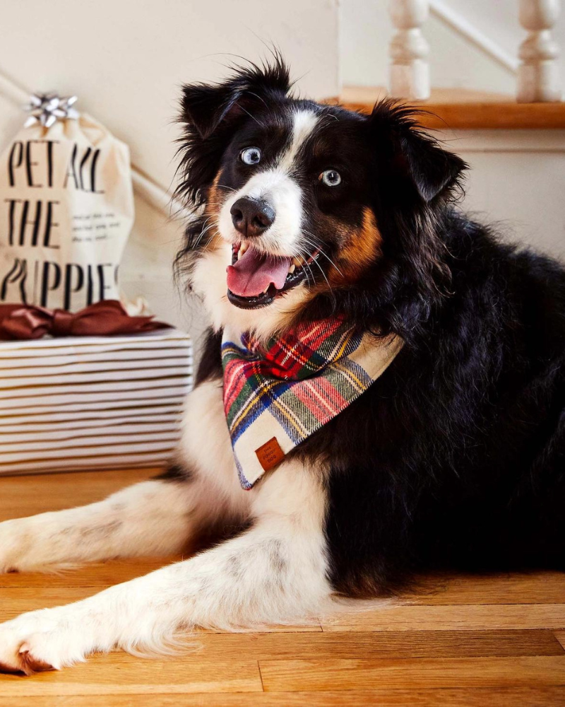 Regent Plaid Flannel Dog Bandana Wear THE FOGGY DOG   