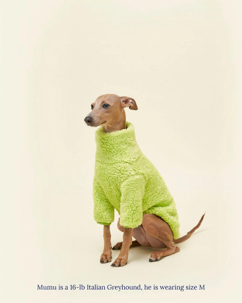 The Highlighter Fleece Sweatshirt (FINAL SALE) Wear LITTLE BEAST   