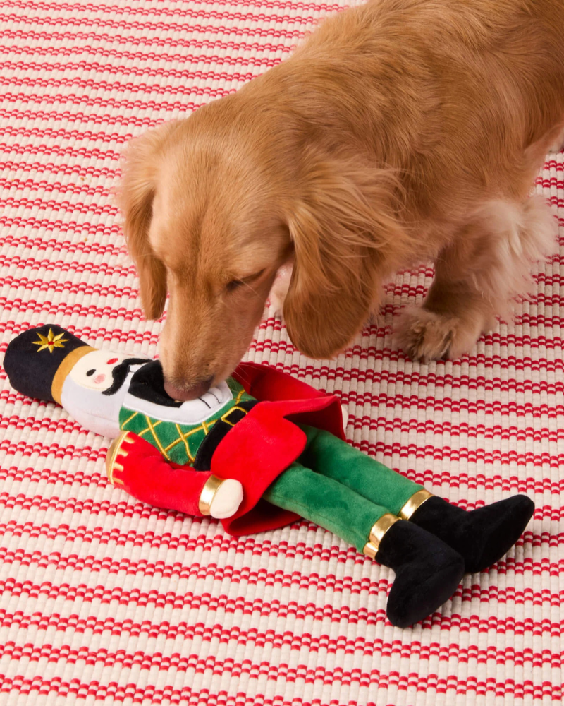 The Nutcracker Interactive Snuffle Dog Toy PLAY THE FOGGY DOG