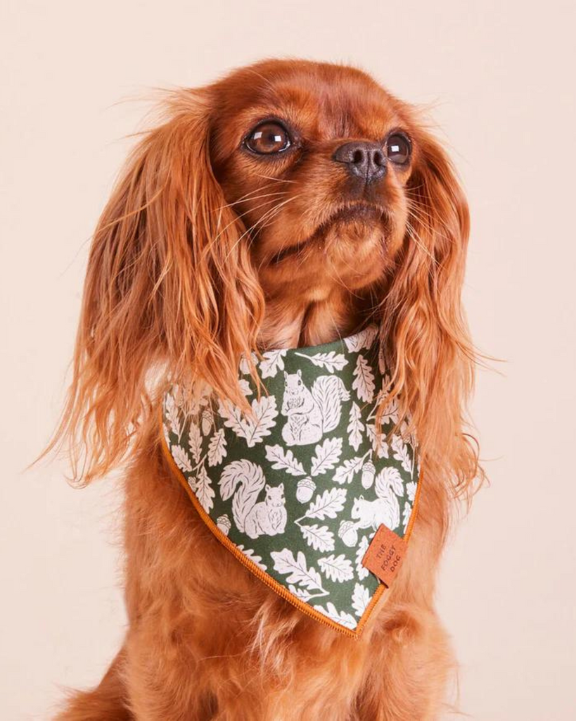 Fall Squirrel Dog Bandana (Made in the USA) Wear THE FOGGY DOG   