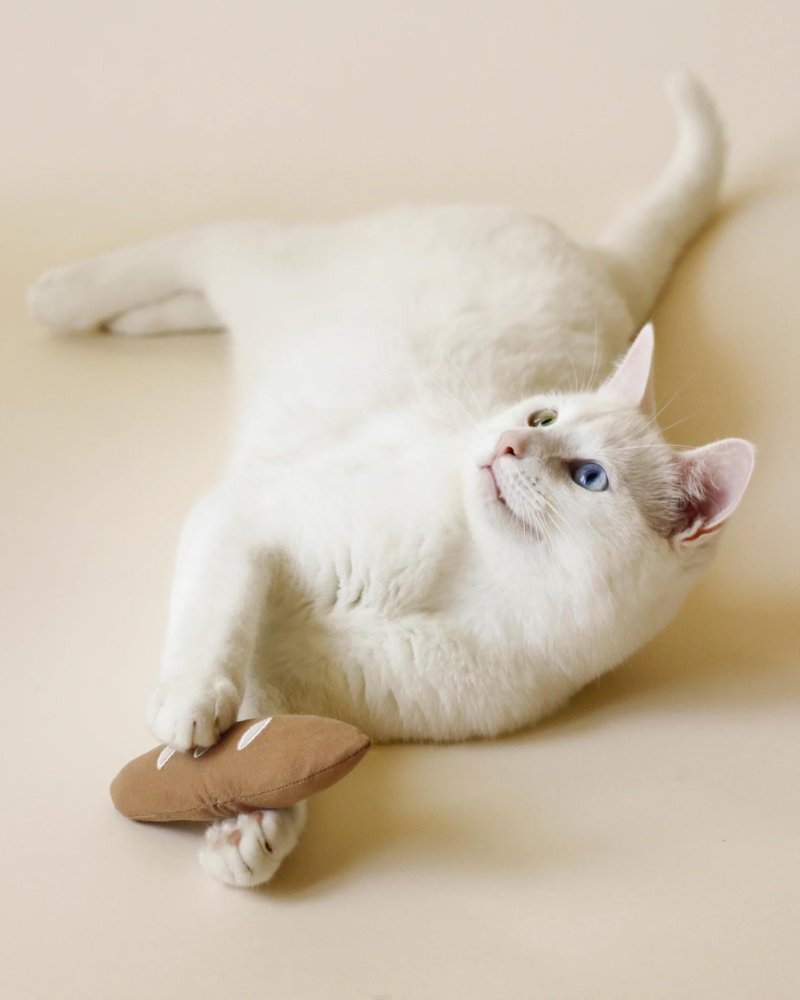 Warm Baguette Catnip Toy Play Bloire   