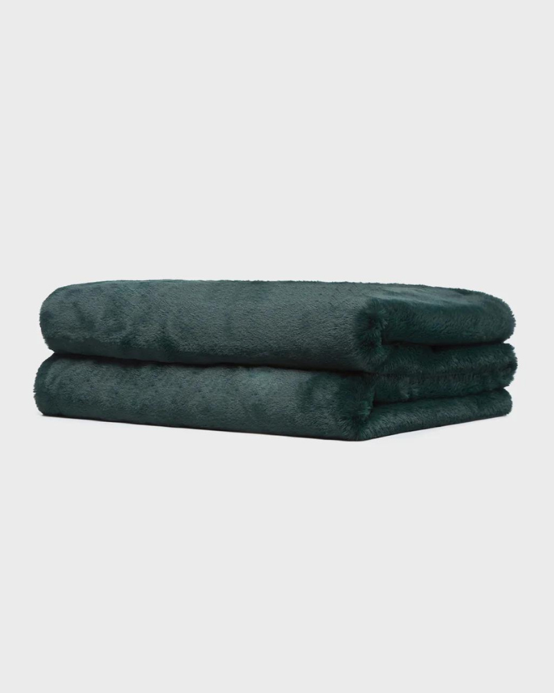 Faux Fur Brady Dog Blanket HOME APPARIS Little Brady (32"x44") Emerald Green 