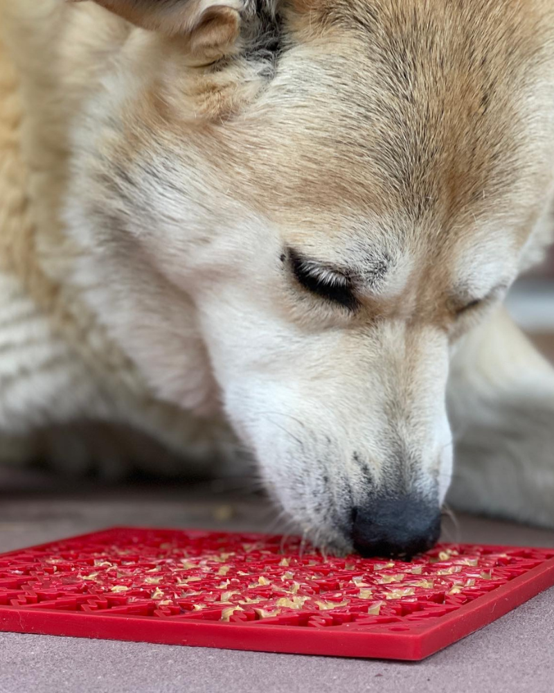 Pine Tree Pet Lick Mat (Made in the USA) Eat SODA PUP
