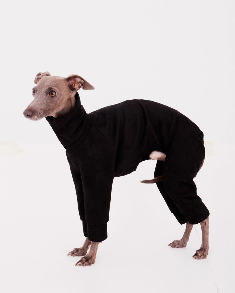 Dog Onesie in Black Wear FORGALGO   