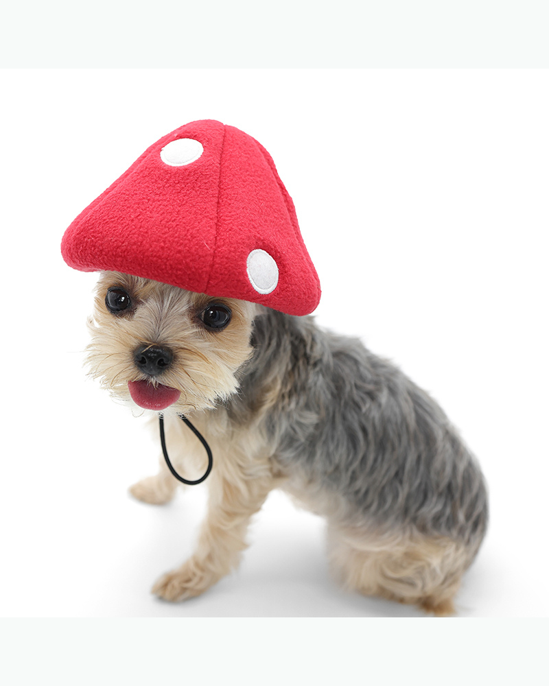 Howl-O-Ween Mushroom Cap Wear DOGO   