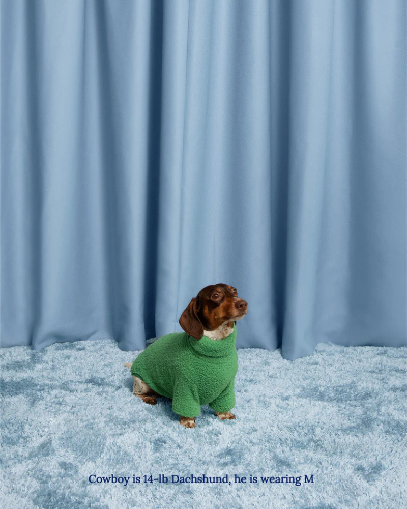 Mary Jane Fleece Dog Sweatshirt